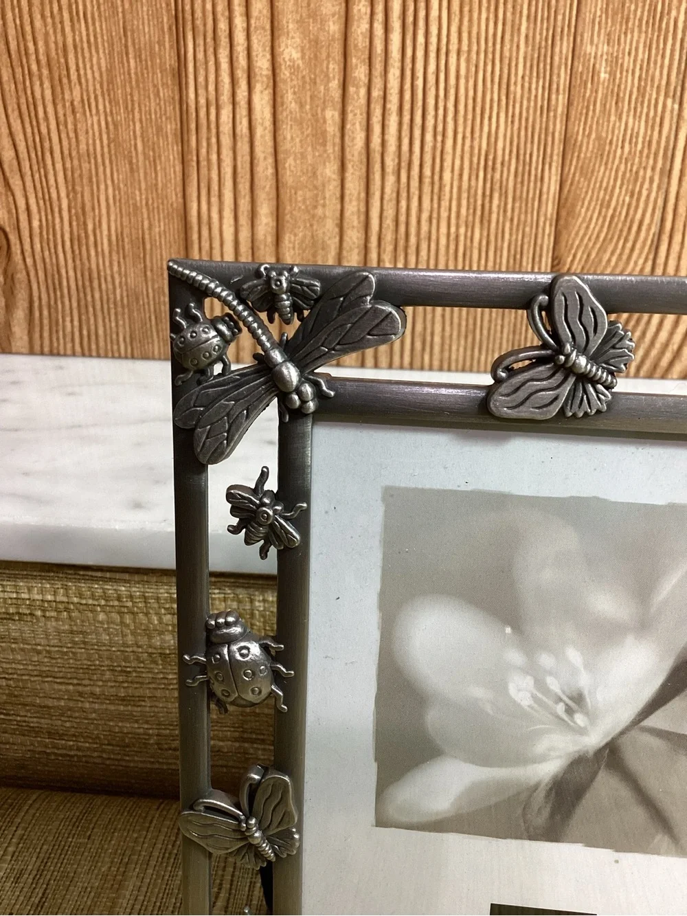 Silver Butterfly & Dragonfly and Beetle Bug  Photo Frame - Silver holds 4x6